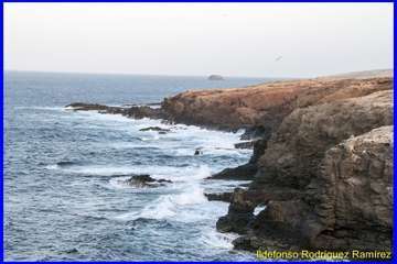 Las coladas de la costa sur de Telde datan de hace 3,8 millones de años (Foto Ildefonso Rodríguez)